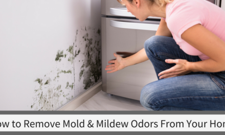 How To Remove Mold & Mildew Odors From Your Home