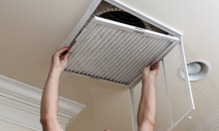 Best Air Filter For Allergies: How To Reduce VOCs Exposure in Your Home