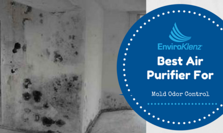Air Purifier Option For Mold Issues & Odor Control