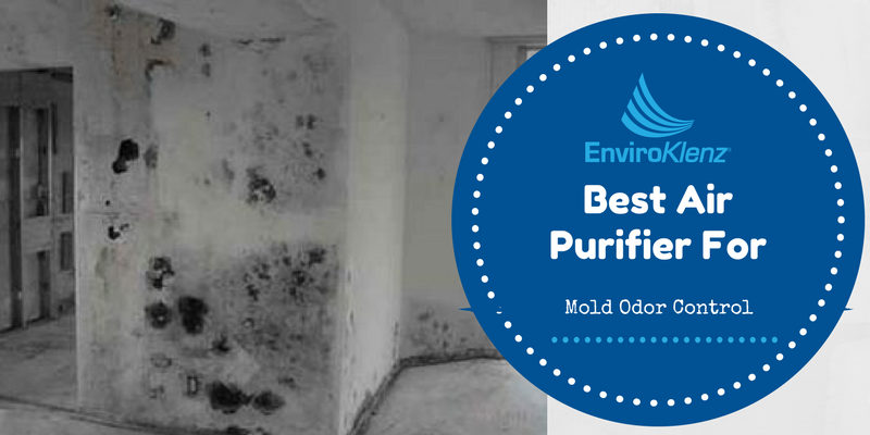 Air Purifier Option For Mold Issues & Odor Control