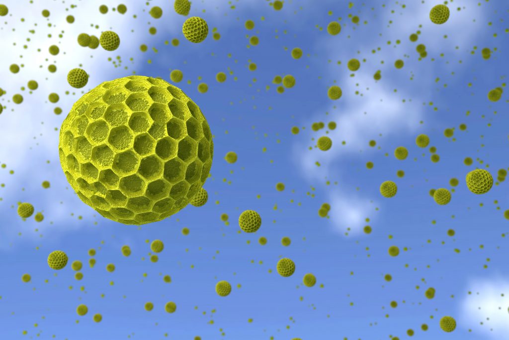 air purifier for pollen allergies