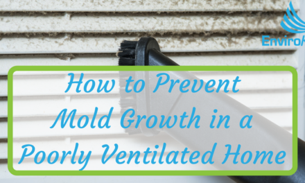 How to Prevent Mold Growth in a Poorly Ventilated Home