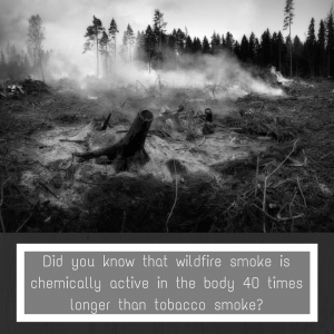 What is Fire Smoke Made Of?