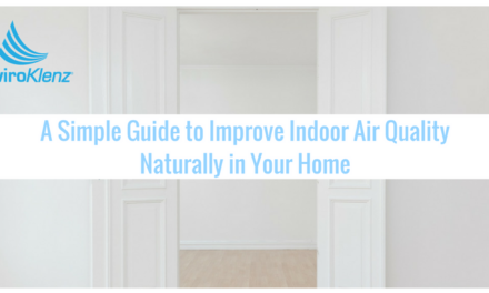 A Simple Guide to Improve Indoor Air Quality Naturally in Your Home
