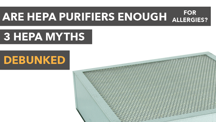 Are HEPA Purifiers Enough for Allergies – 3 HEPA Myths Debunked