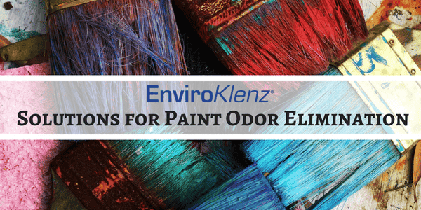 Solutions for Paint Odor Elimination