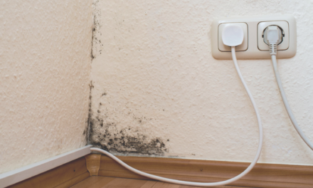 Can Black Mold Affect Your Brain?