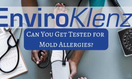 Can You Get Tested for Mold Allergies?