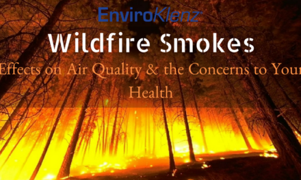Wildfire Smokes Effects on Air Quality & the Concerns to Your Health