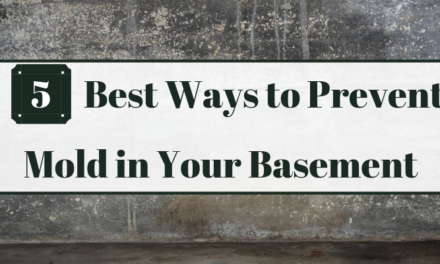 5 Best Ways to Prevent Mold in Your Basement