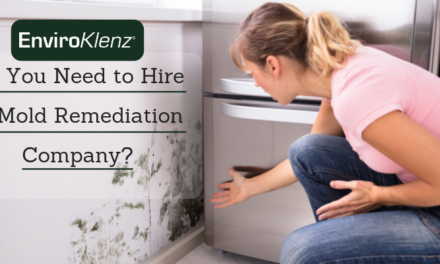 Do You Need To Hire A Mold Remediation Company?