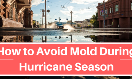 How To Avoid Mold During Hurricane Season