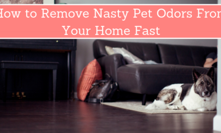 How To Remove Nasty Pet Odors From Your Home Fast