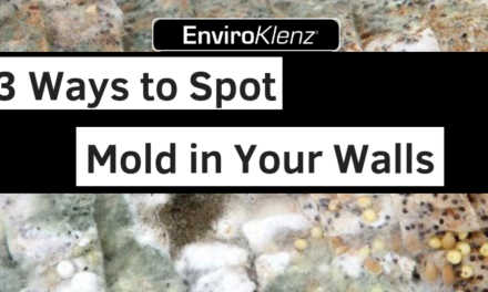 3 Ways To Spot Mold In Your Walls