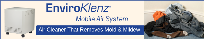 Air Cleaner that removes mold & Mildew