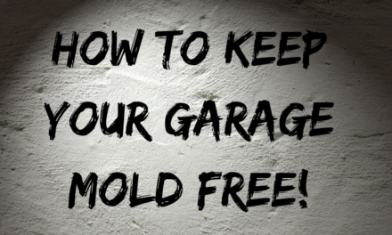 How To Keep Your Garage Mold Free!