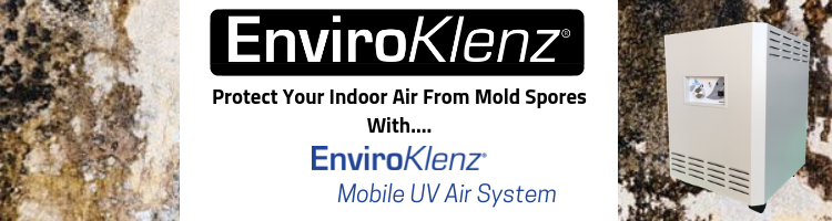 Protect Your Indoor Air From Mold Spores With....