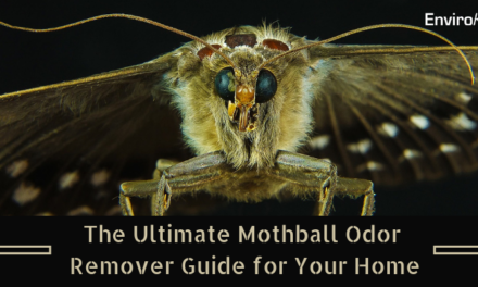 The Ultimate Mothball Odor Remover Guide for Your Home