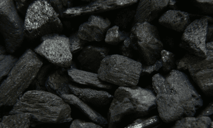 Activated Carbon vs Charcoal Air Filters: Are They the Same?