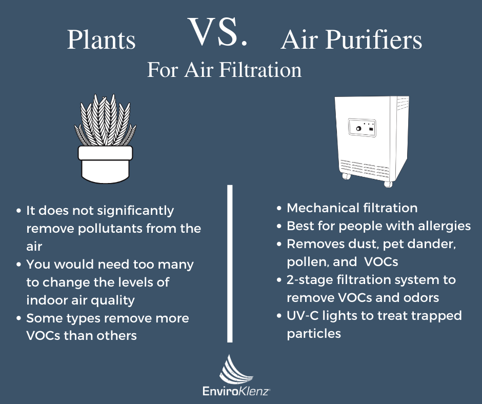 plants vs air purifiers