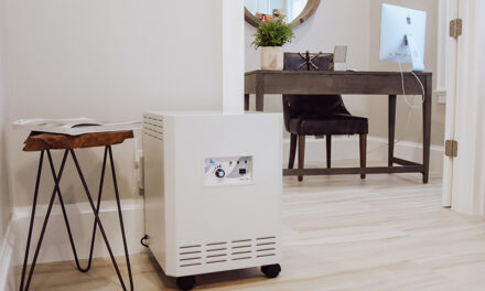 What Type of Air Purifier Should I Buy for My Home?