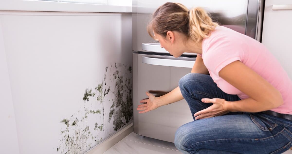 woman looking at a mold infested wall in her home wall