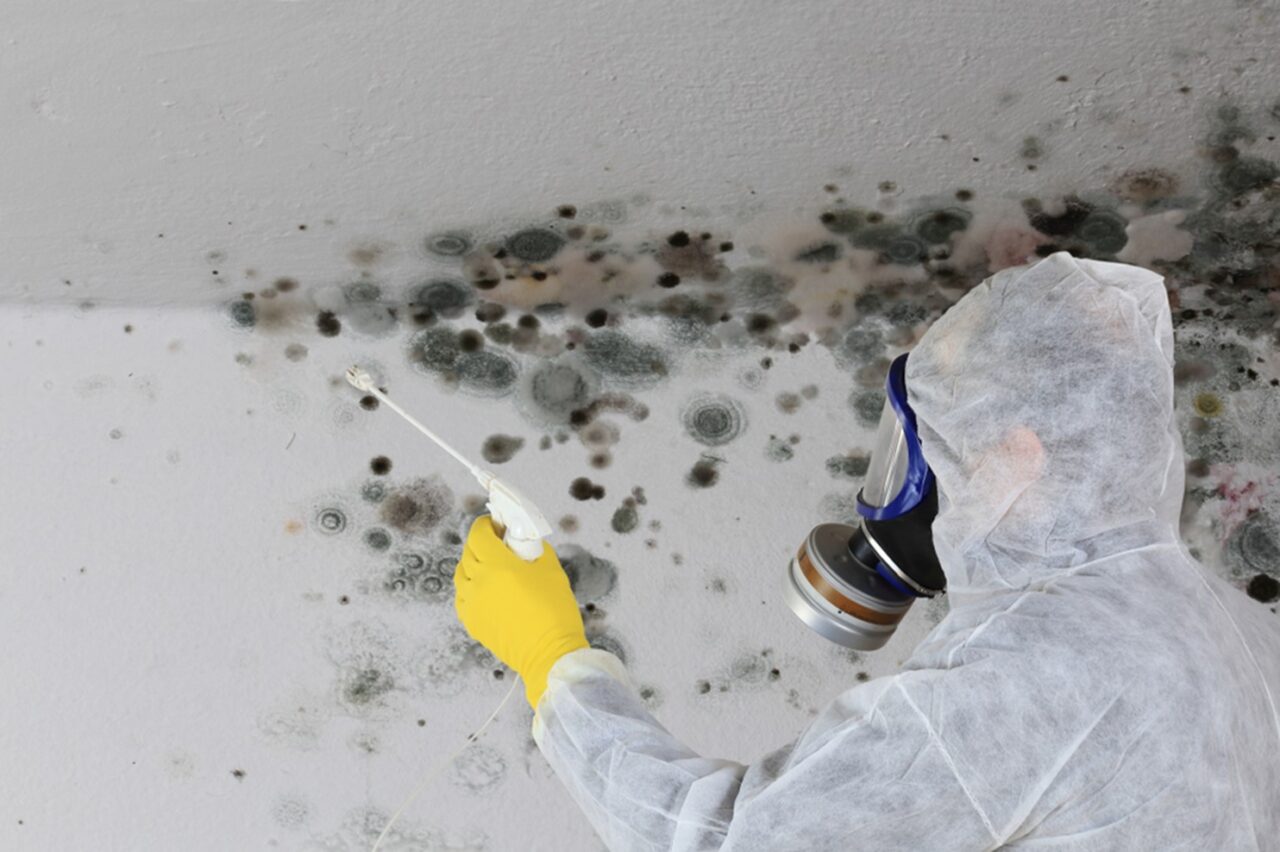 Basement Odor Eliminator - The Best Way to Tackle That Musty Aroma