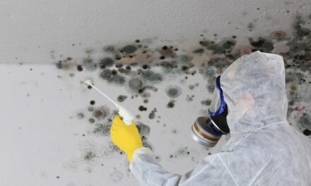 Basement Odor Eliminator – The Best Way to Tackle That Musty Aroma