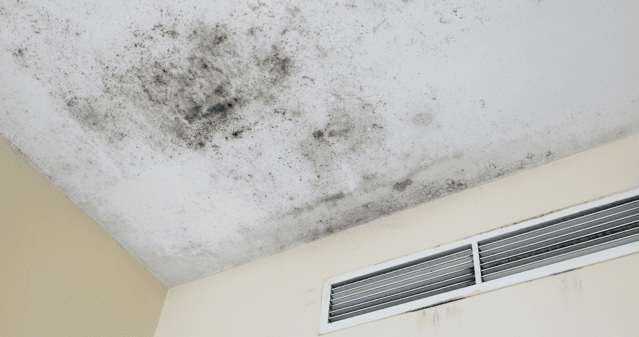 There are many different solutions when it comes to odor control. Once you have determined what’s producing the bad smell, you will be better positioned to choose the best odor remover for the specific situation. That being said, here are some of the best basement odor eliminator options available.