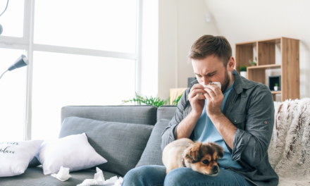 Allergy Air Quality Connection | How It Impacts Your Sleep
