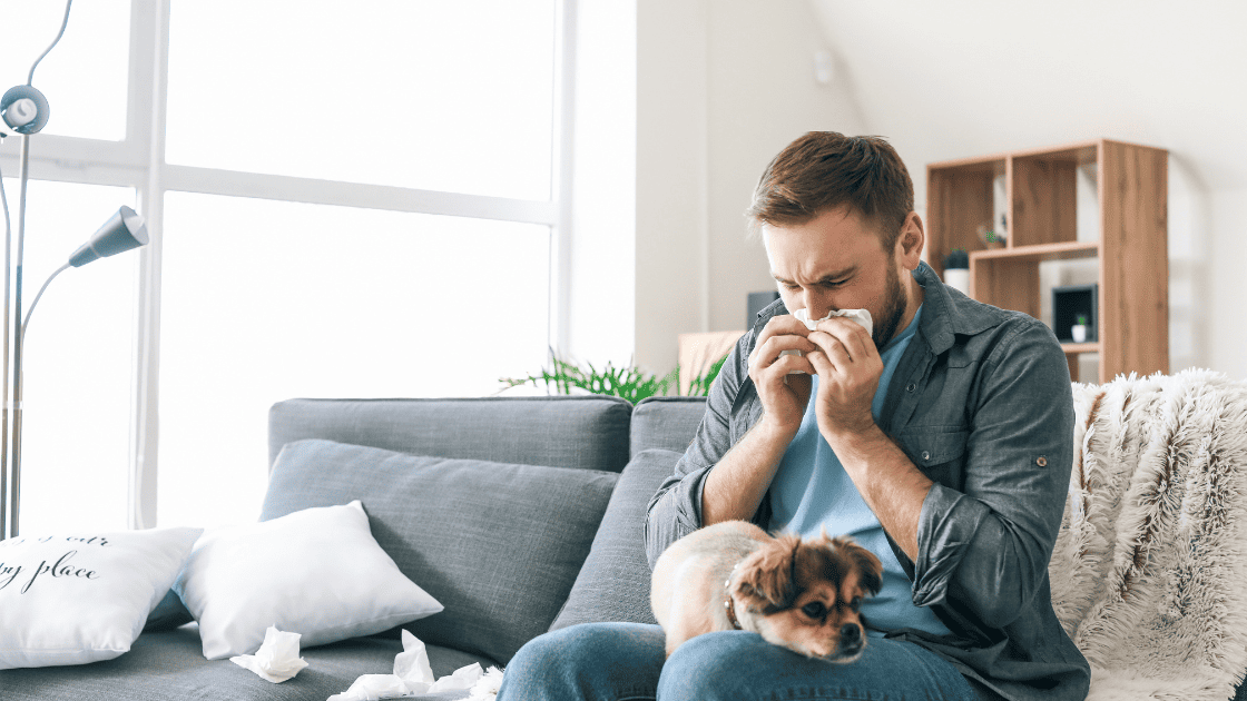 Discover the allergy air quality connection and how it affects sleep. Learn tips to improve air quality for allergy relief and restful sleep.